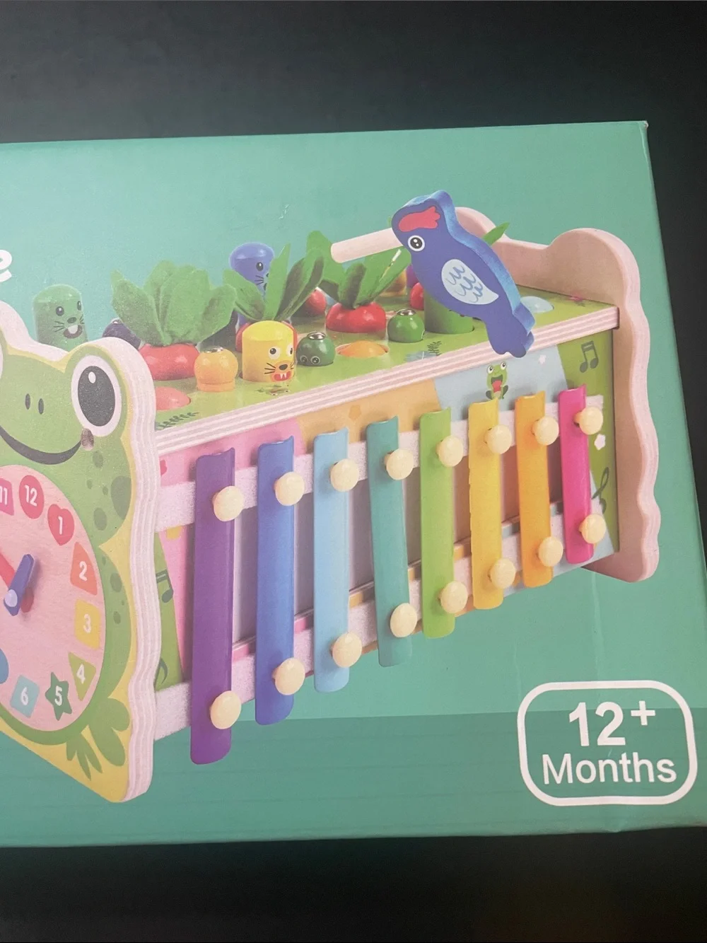 Wooden Frog Xylophone and Clock Activity Toy - Multicolor New in box 12 mo +